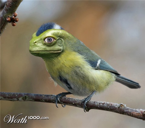 Photoshop Design by DeconstructedHarry