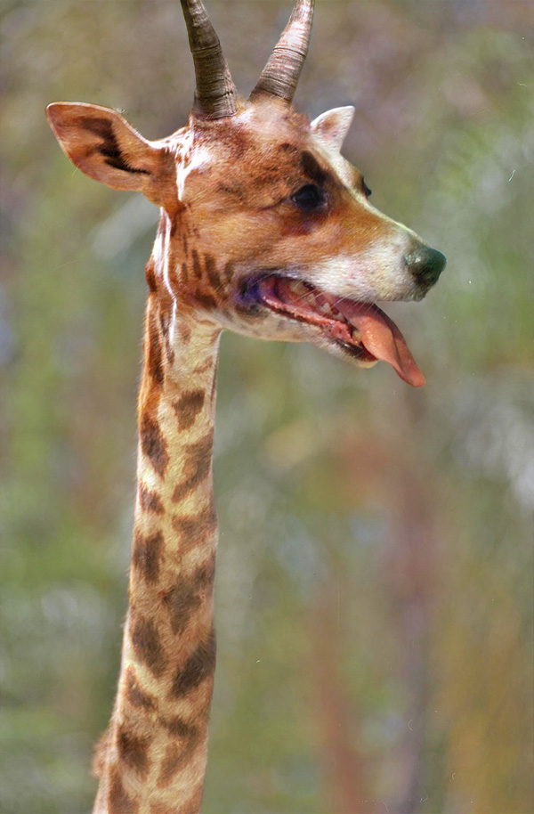 Photoshop Design by PhantomPain for DesignCrowd (Community Contests) | Design #9081448