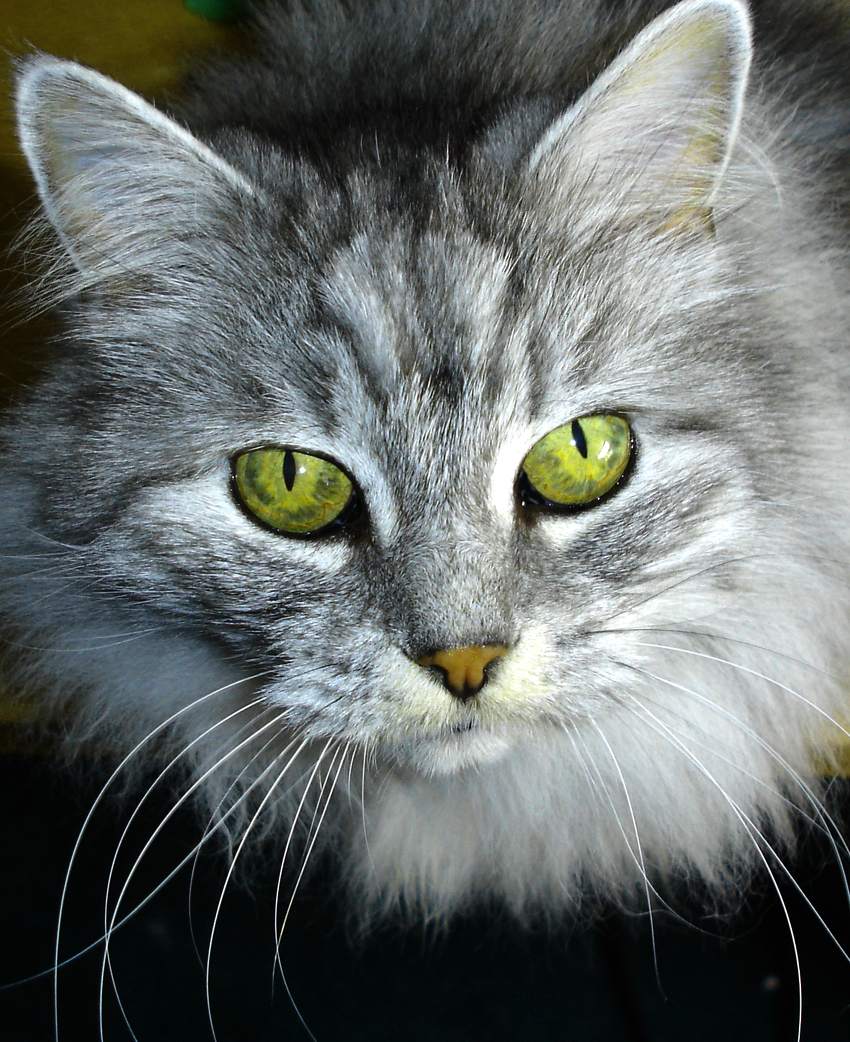 Photography by clloyd for DesignCrowd (Community Contests) | Design #9085584