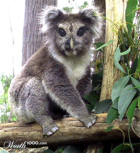 Photoshop Design by prins063