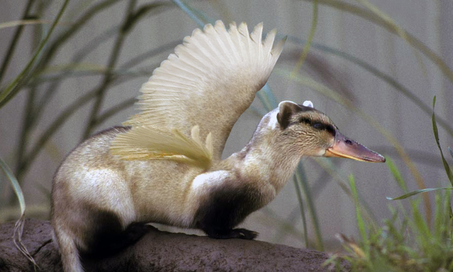 Photoshop Design by CraftLord for DesignCrowd (Community Contests) | Design #9081575