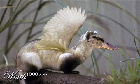 Photoshop Design by CraftLord