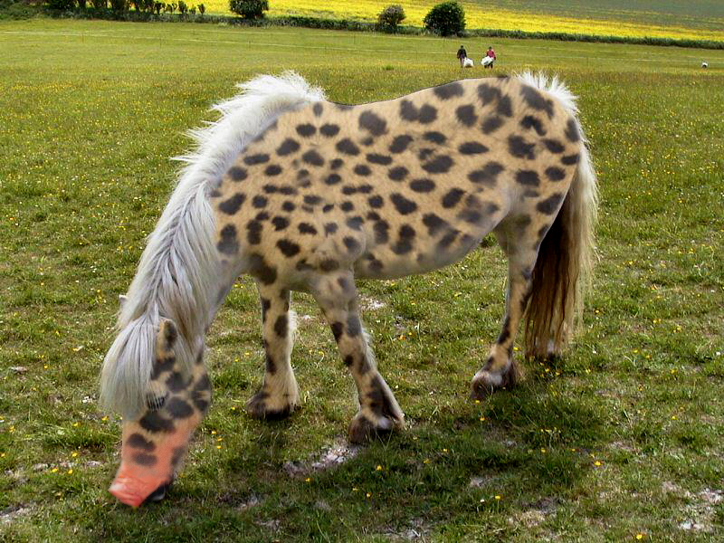 Photoshop Design by diversi0n for DesignCrowd (Community Contests) | Design #9081571