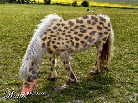 Photoshop Design by diversi0n