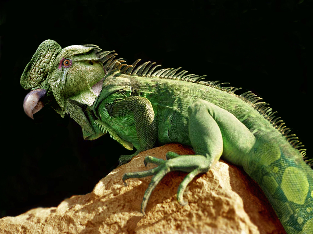 Diseño de Photoshop por ariel9 para DesignCrowd (Community Contests) | Diseño #9081572