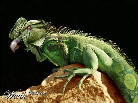 Photoshop Design by ariel9