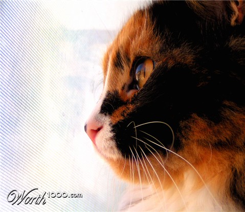 Photography by jasoned