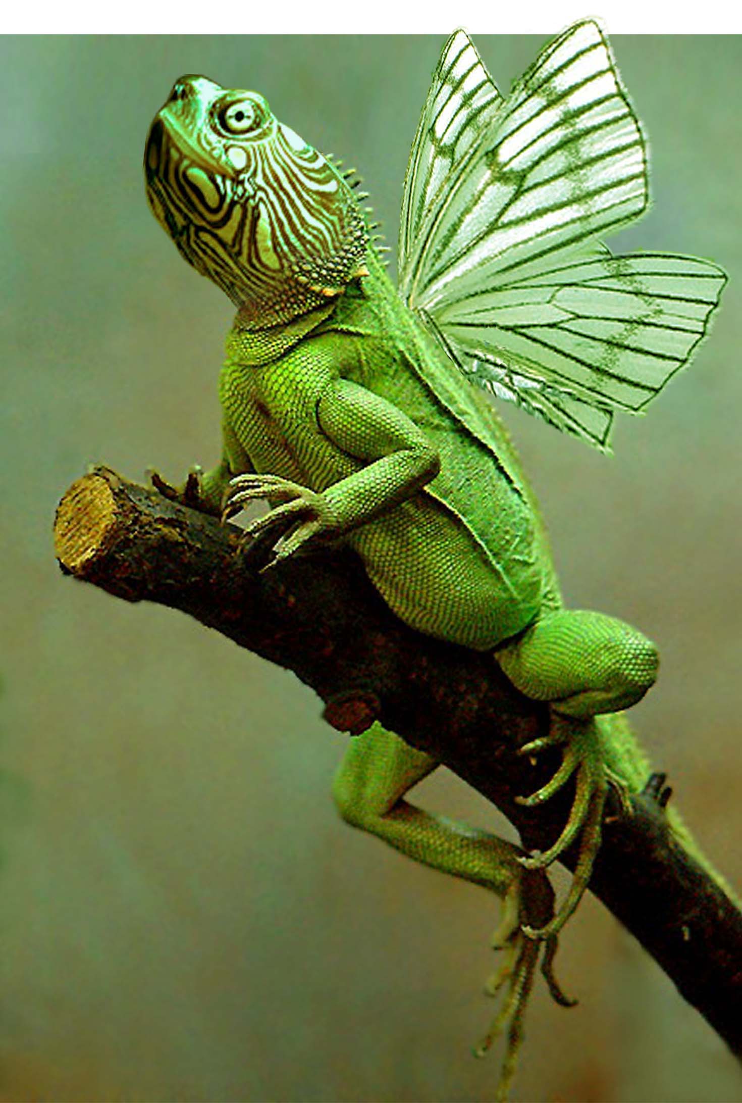 Photoshop-Design von UPUPUP für DesignCrowd (Community Contests) | Design #9081529