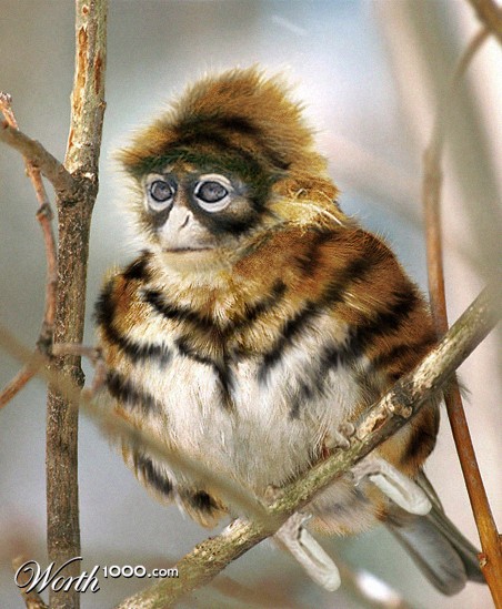 Photoshop Design by msNicole