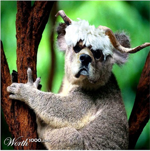 Photoshop Design by Koosricardo