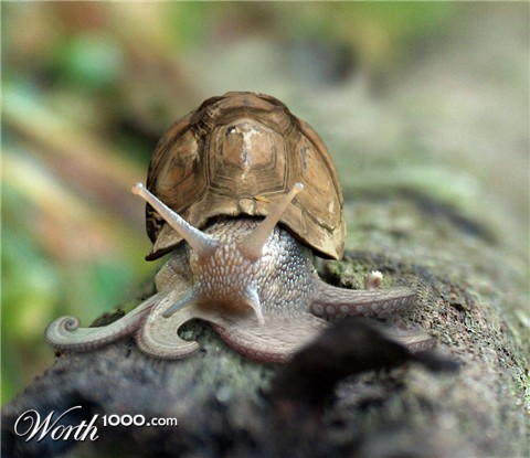 Photoshop Design by TIOCHICO