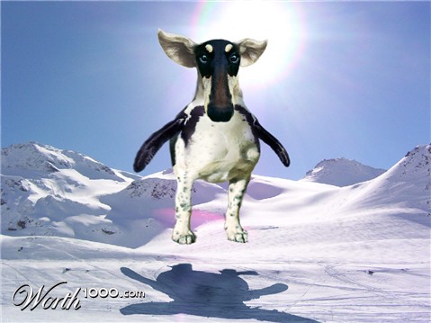 Photoshop Design by Wisburt