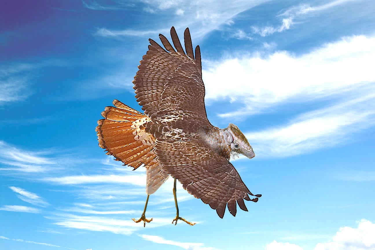 Photoshop Design by jvles0 for DesignCrowd (Community Contests) | Design #9081556