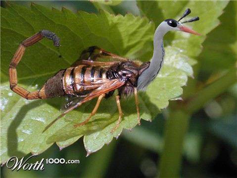 Photoshop Design by spiraleye