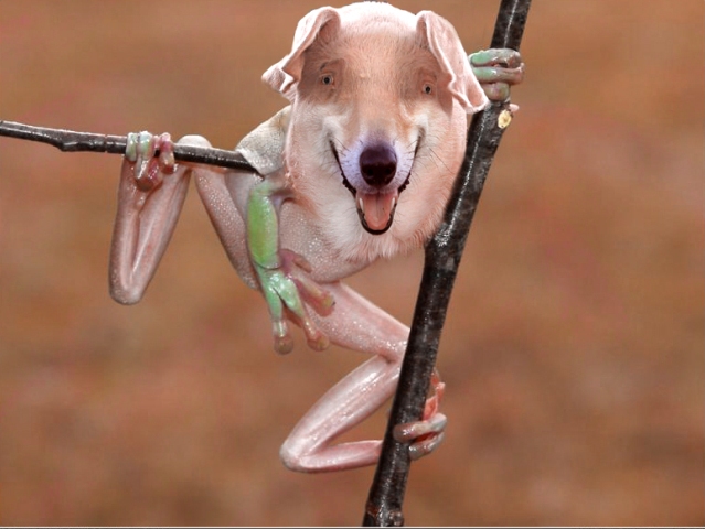 Photoshop Design by Mupshur for DesignCrowd (Community Contests) | Design #9081545