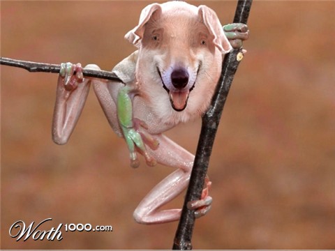 Photoshop Design by Mupshur