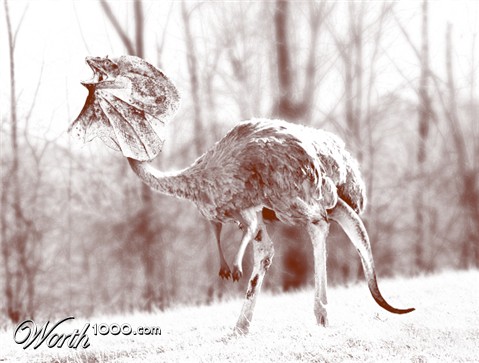 Photoshop Design by bigTransAm