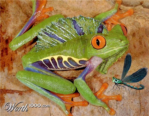 Photoshop Design by cricket1