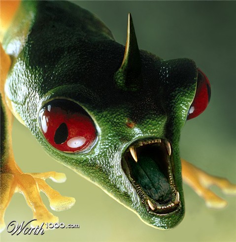 Photoshop Design by bpkelsey