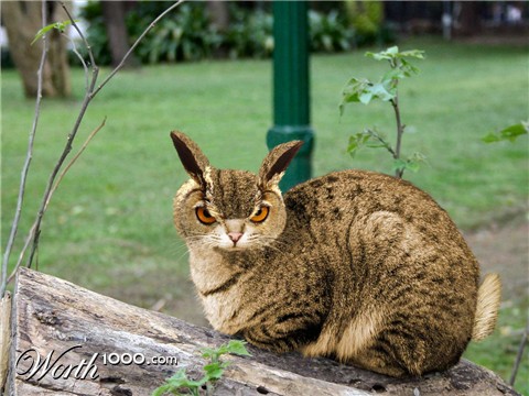 Photoshop Design by pjdietz