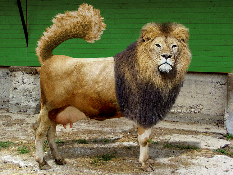 Design Photoshop par StrangeWorld pour DesignCrowd (Community Contests) | Design #9081614