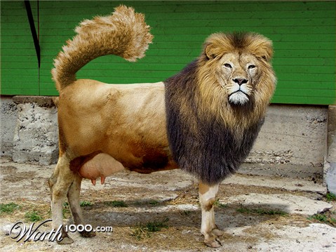 Photoshop Design by StrangeWorld