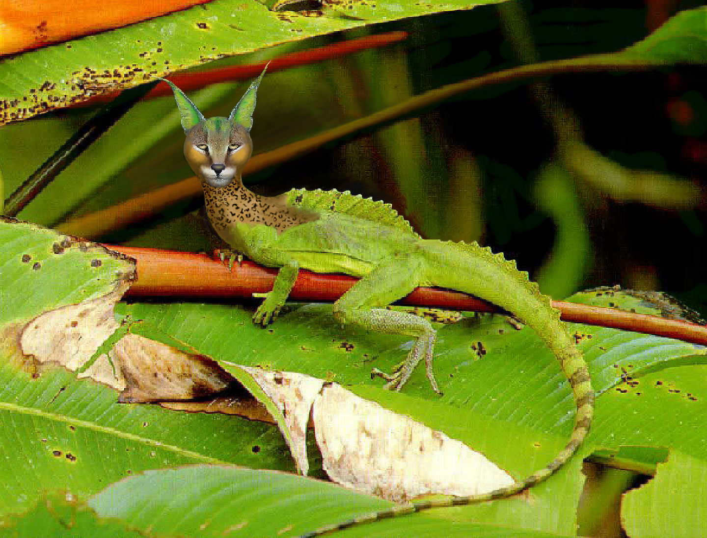 Photoshop Design by bif248 for DesignCrowd (Community Contests) | Design #9081618