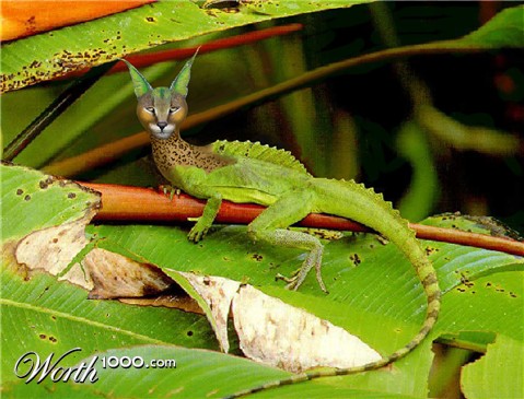 Photoshop Design by bif248