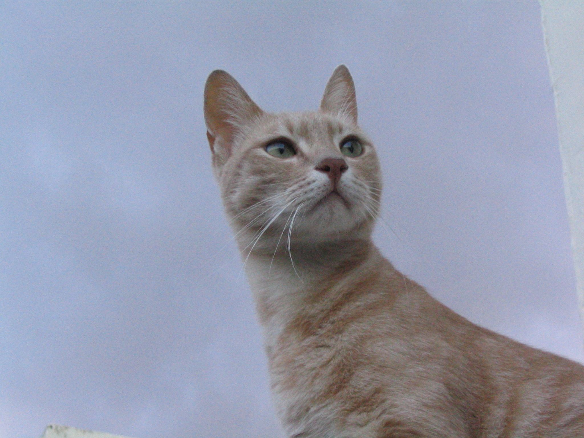 Photography by Piccinini for DesignCrowd (Community Contests) | Design #9085624