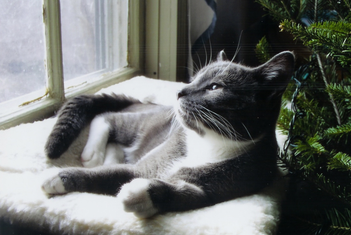 Photography by KCBroadway for DesignCrowd (Community Contests) | Design #9085629