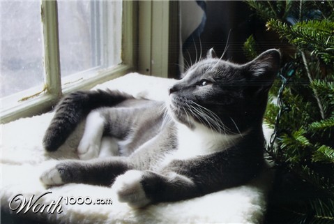 Photography by KCBroadway