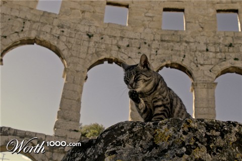 Photography by Johnny5