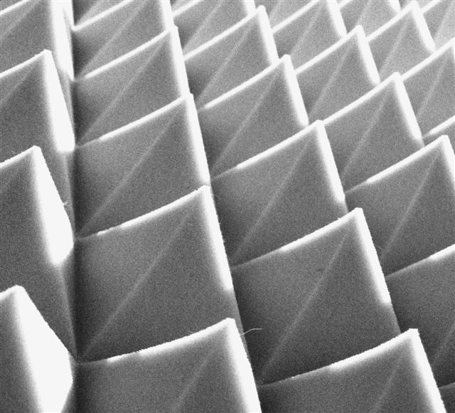 Fotografie von Chupakabra für DesignCrowd (Community Contests) | Design #9082189