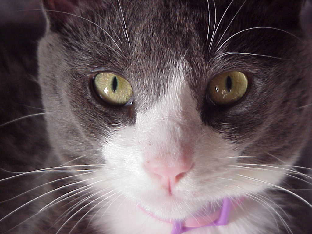 Photography by advance2 for DesignCrowd (Community Contests) | Design #9085638