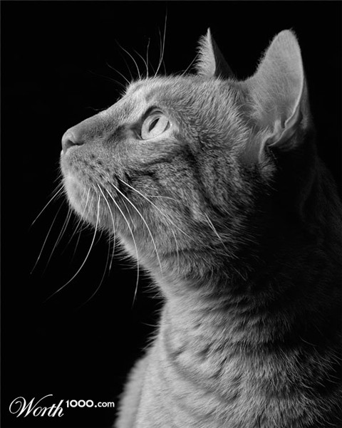 Photography by kualgu