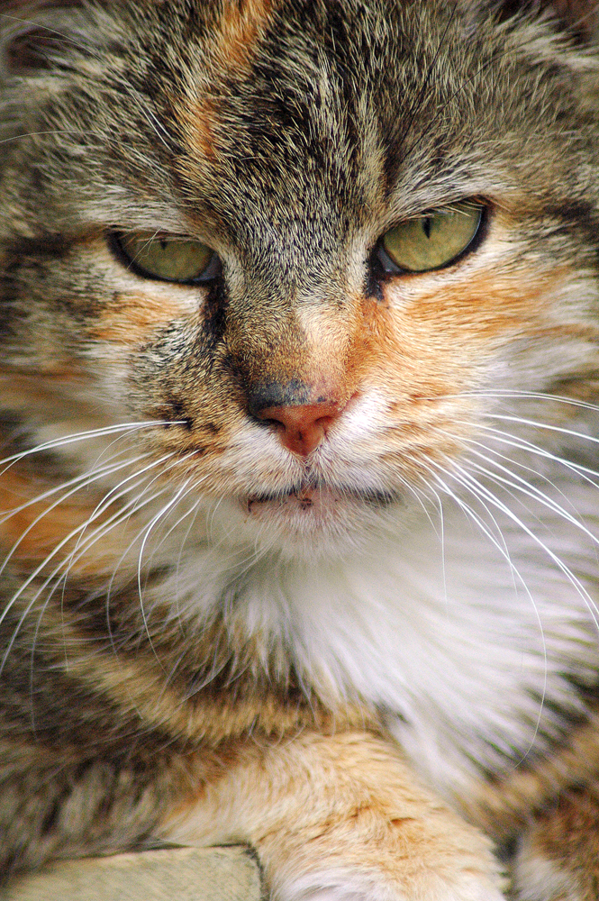 Photography by Marian for DesignCrowd (Community Contests) | Design #9085627