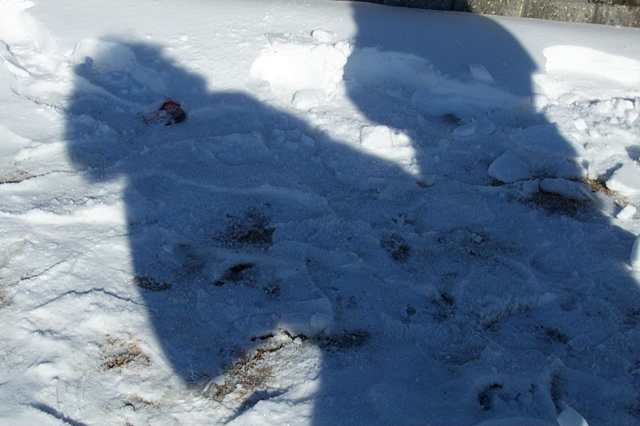 Design Photoshop par jasonbank pour DesignCrowd (Community Contests) | Design #9085014