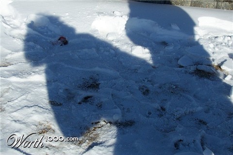 Photoshop Design by jasonbank