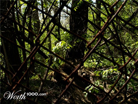 Photography by ringo0309