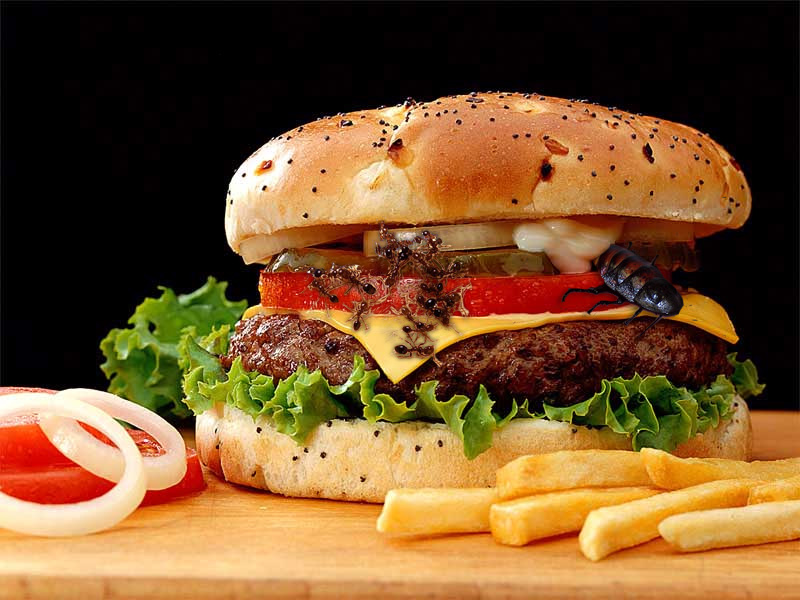 Photoshop Design by imalogo for DesignCrowd (Community Contests) | Design #9085060