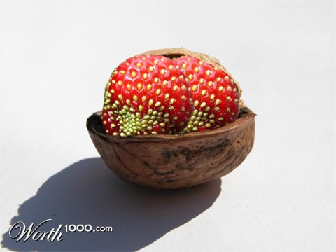 Photoshop Design by dirk81