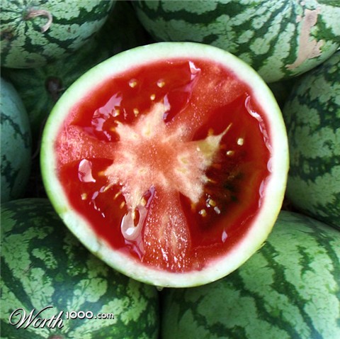 Photoshop Design by ehrinn