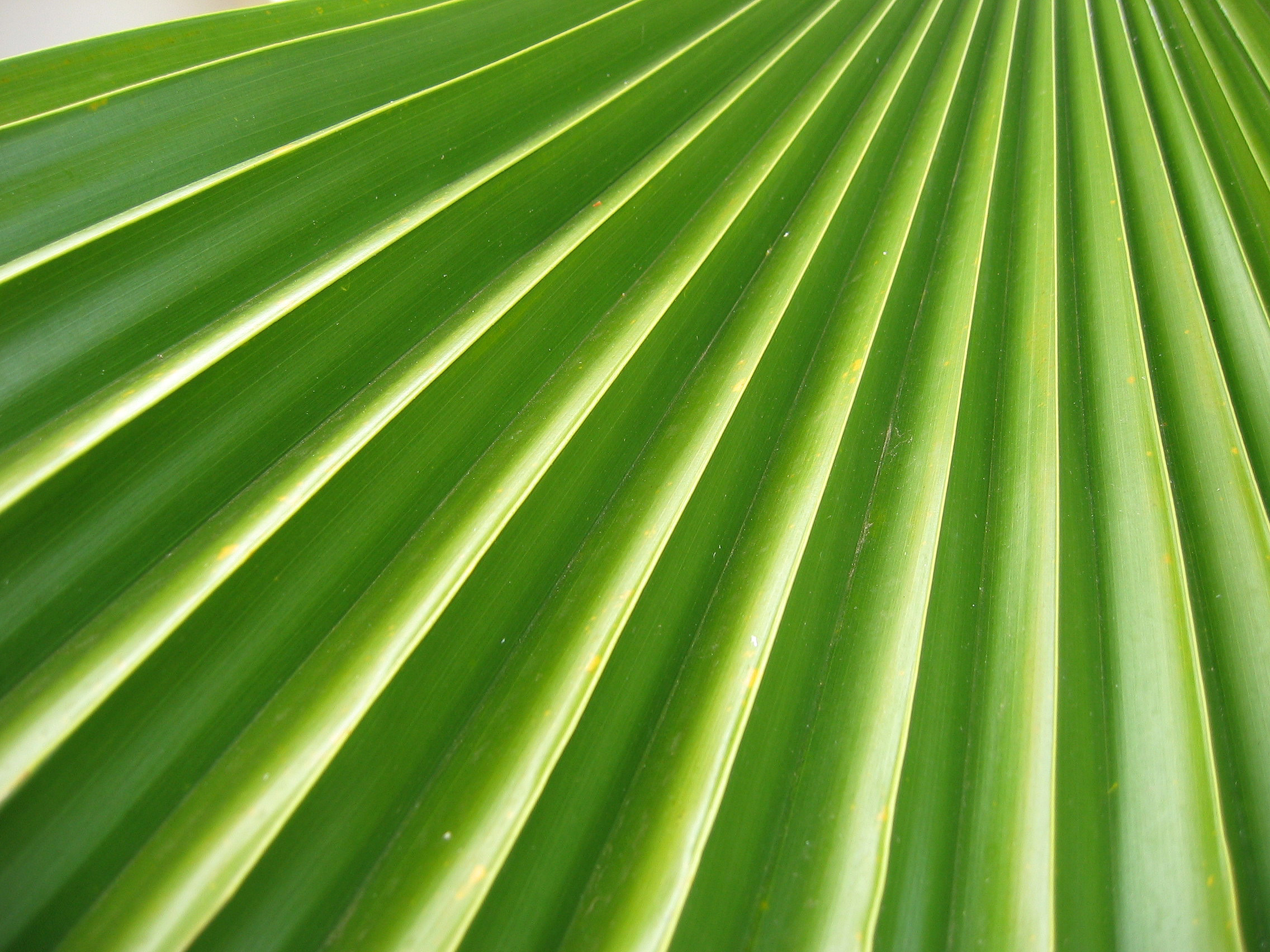 Photography by giropa for DesignCrowd (Community Contests) | Design #9082206