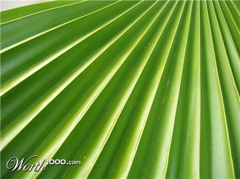 Photography by giropa