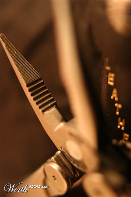 Photography by Mellilot
