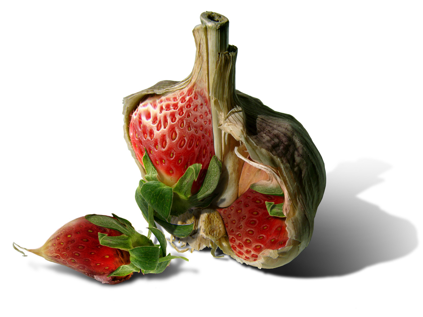 Design Photoshop par MrMouse pour DesignCrowd (Community Contests) | Design #9081120