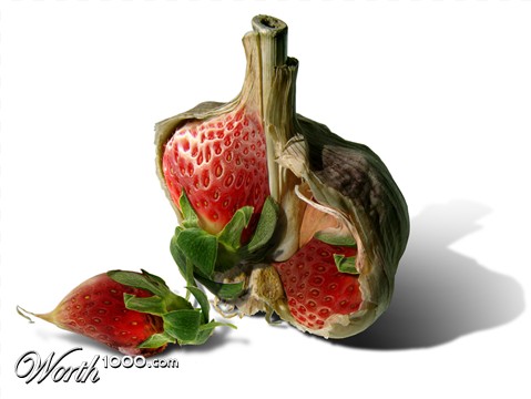 Photoshop Design by MrMouse