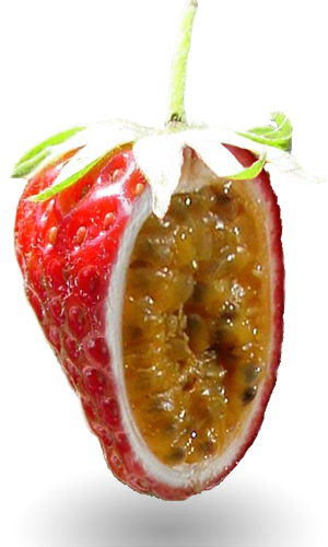 Photoshop Design by rhumrider for DesignCrowd (Community Contests) | Design #9081289