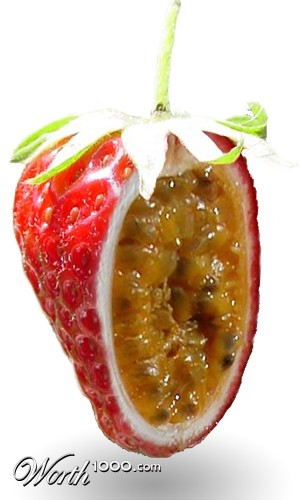 Photoshop Design by rhumrider