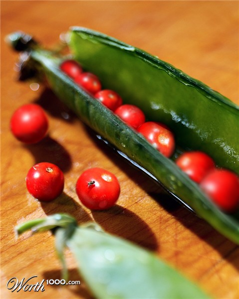 Photoshop Design by marygoodwater